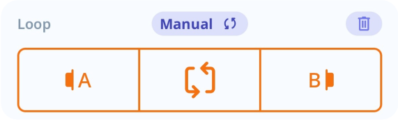 Auto Loop/Manual Loop