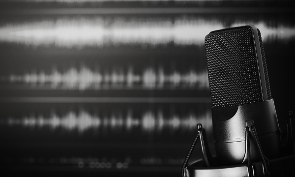 一种与低音炮配合使用，同时保持 FLAT 声效的模式。